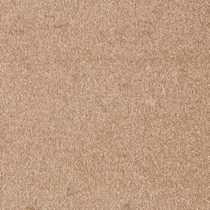 Sensation New, Sensualite - FSSNWTA41500P 41 5-Meter Breit Teppichboden