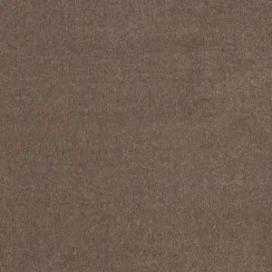 Sentiment, Sensualite - FSENTTA44500P 44 5-Meter Breit Teppichboden