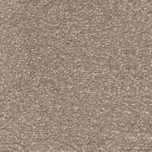 Suspense, Sensualite - FSUCETA40500P 40 5-Meter Breit Teppichboden