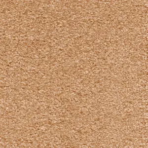 Suspense, Sensualite - FSUCETA80500P 80 5-Meter Breit Teppichboden