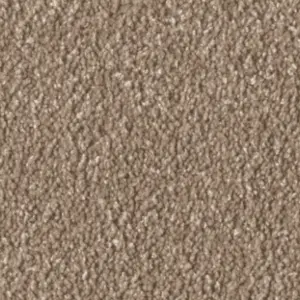 Fascination, Alba - 103730A400 8L46 4-Meter Breit Teppichboden