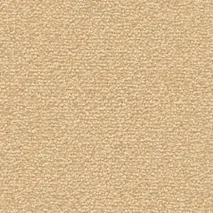 Fascination, Lyrica - 101391A500 8K02 5-Meter Breit Teppichboden