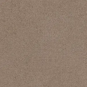 SmartStrand - LURO.400.0421 0421 BIEBER 4-Meter Breit Teppichboden