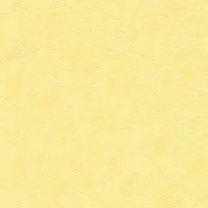 169211 Vliestapete