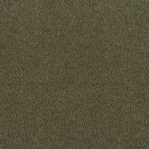 X Wohnen - LILU.500.0500 0500 LOIV 5-Meter Breit Teppichboden