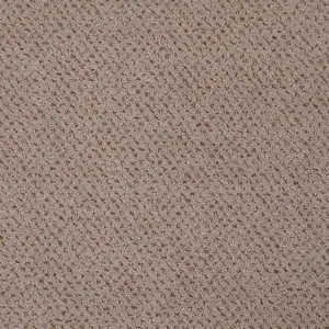 Pilotis - LSQS.400.0262 262 CAMEL 4-Meter Breit Teppichboden