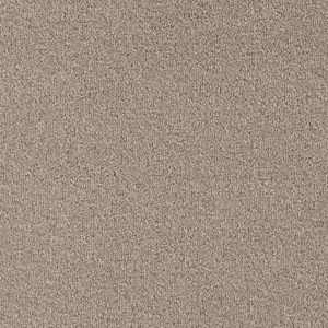Minerva - LMIN.400.0230 230 FLAX 4-Meter Breit Teppichboden