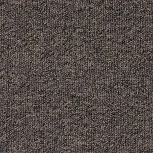Pilotis - LGRF.500.0810 810 CHARCOAL 5-Meter Breit Teppichboden