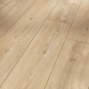 Trendtime 6 - 1567469 Eiche Nova hell gekälkt Naturstruktur 4V