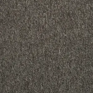 Medusa, Maverick Wall to Wall - FMDSATA43500P 43 5-Meter Breit Teppichboden