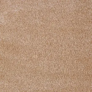 Secret New, Sensualite - FSNEWTA43400P 43 4-Meter Breit Teppichboden