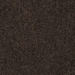 SmartStrand - LUYO.400.0401 0401 KAFFE 4-Meter Breit Teppichboden