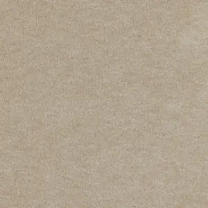 X Wohnen - LGOD.500.0254 0254 SHELL 5-Meter Breit Teppichboden