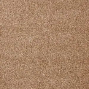 Seduction, Sensualite - FSESUTA41500P 41 5-Meter Breit Teppichboden