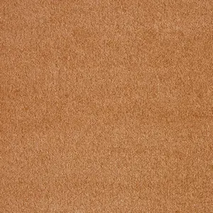 Seduction, Sensualite - FSESUTA80500P 80 5-Meter Breit Teppichboden