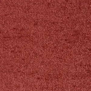 Sensation New, Sensualite - FSSNWTA19400P 19 4-Meter Breit Teppichboden