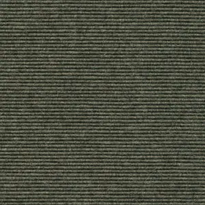 Ever - 1010114519 519 - Salbei 2-Meter Breit Teppichboden