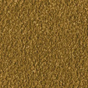 Fascination, Alba - 103723A400 2F97 4-Meter Breit Teppichboden