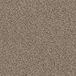 Fascination, Lyrica - 103621A400 8L32 4-Meter Breit Teppichboden