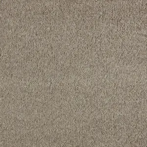 Patina - LUTO.400.0420 0420 BIBER 4-Meter Breit Teppichboden
