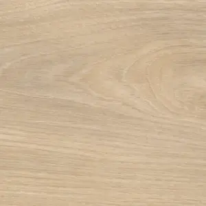 Tritty 100 Gran Via, Tritty 100 Gran Via 4V Silent CT - 544743 Silberahorn Vario