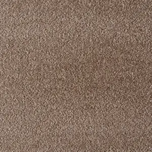 X Wohnen - LSAN.500.0264 0264 BEIGE 5-Meter Breit Teppichboden