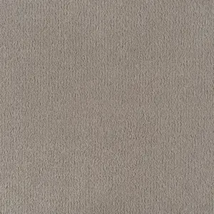 X Wohnen - LPLE.400.0840 0840 MOONSHINE 4-Meter Breit Teppichboden