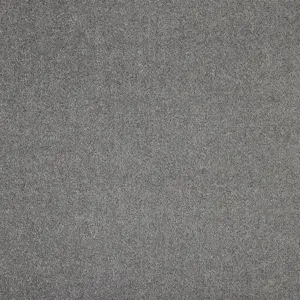 Odina - LODI.500.0840 0840 MAUSGRAU 5-Meter Breit Teppichboden