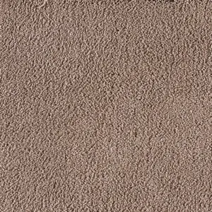 X Wohnen - LJAE.500.0420 0420 BIBER 5-Meter Breit Teppichboden