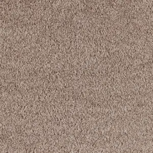 X Wohnen - LEUP.500.0260 0260 CAMEL 5-Meter Breit Teppichboden