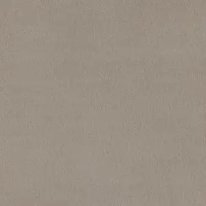 X Wohnen - LBER.500.0450 0450 SAND 5-Meter Breit Teppichboden