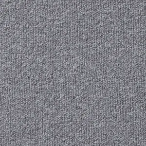 Pilotis - LGRT.500.0858 858 MOONBEAM 5-Meter Breit Teppichboden
