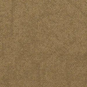 711993010 AC41 2024 Teppichfliese