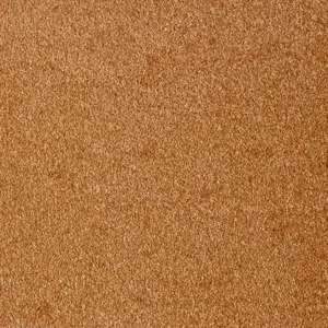 Sensation New, Sensualite - FSSNWTA84400P 84 4-Meter Breit Teppichboden