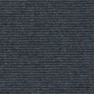 Ever - 1010114520 520 - Eisen 2-Meter Breit Teppichboden