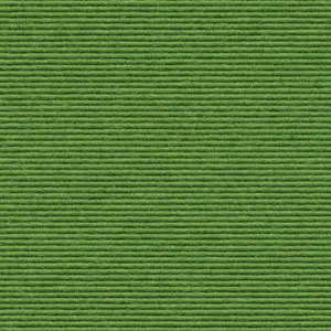 Ever - 1010114580 580 - Apfel 2-Meter Breit Teppichboden