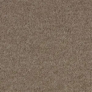 SmartStrand - LZEO.500.0430 0430 SABLE 5-Meter Breit Teppichboden