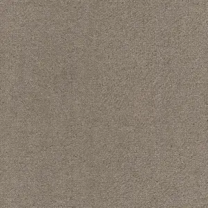 SmartStrand - LUIO.500.0263 0263 BEIGE 5-Meter Breit Teppichboden