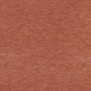 X Wohnen - LGOD.500.0315 0315 RUST 5-Meter Breit Teppichboden