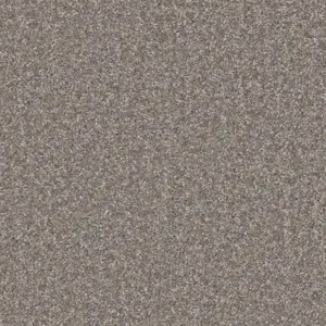 Lotus - LLOT.400.0840 840 MAUSGRAU 4-Meter Breit Teppichboden