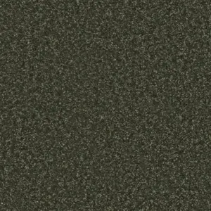 Lotus - LLOT.400.0590 590 MOOS 4-Meter Breit Teppichboden