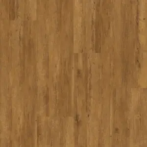 Corelan Design-Korkboden KF - 020166229 Serbische Fichte Korkboden zum Kleben