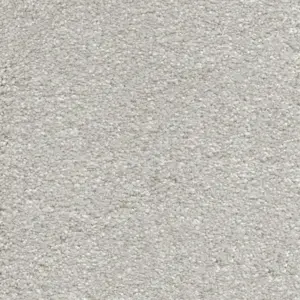 Suspense, Sensualite - FSUCETA95500P 95 5-Meter Breit Teppichboden