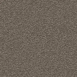 Fascination, Lyrica - 101384A400 5X81 4-Meter Breit Teppichboden