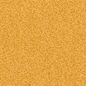 Fascination, Lyrica - 103616A400 2F95 4-Meter Breit Teppichboden