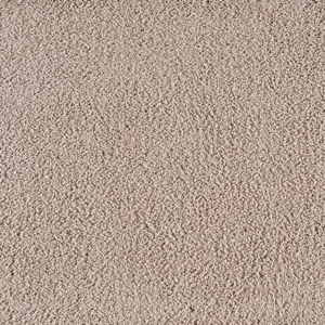 X Wohnen - LJAE.400.0260 0260 BEIGE 4-Meter Breit Teppichboden
