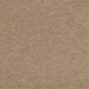 X Wohnen - LGOD.400.0264 0264 CAMEL 4-Meter Breit Teppichboden