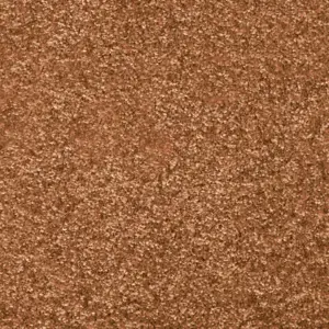 Dorado, Gaia - FDRADTA82400P 82 4-Meter Breit Teppichboden