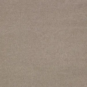 Sentiment, Sensualite - FSENTTA40400P 40 4-Meter Breit Teppichboden