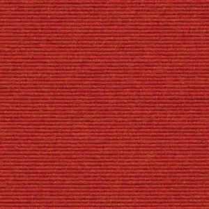 Ever - 1010114582 582 - Grapefruit 2-Meter Breit Teppichboden